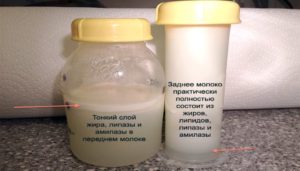 Анализ грудного молока на жирность