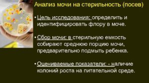 Как собрать у ребенка анализ мочи на стерильность