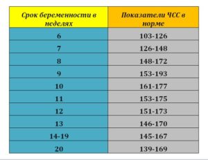 Пол ребенка по ударам сердца