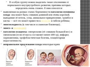 На каком сроке можно определить патологии плода