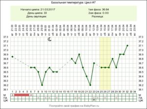 Первые недели беременности температура