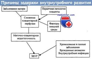 Задержка внутриутробного развития плода причины