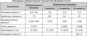 Суточный анализ мочи на белок норма при беременности