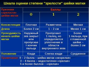 Степень зрелости шейки матки