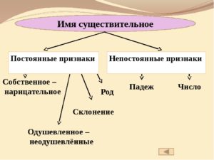 Постоянные морфологические признаки существительного