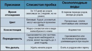 Если отошли воды сколько до родов времени