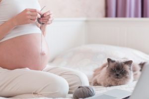 Почему беременным нельзя кошек