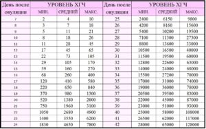 Норма хгч при беременности по дням после овуляции