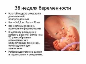 Рост и вес ребенка в 38 недель беременности