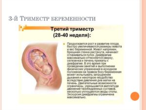 Форум 3 триместр беременности