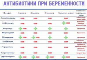 Можно ли пить антибиотики на ранних сроках беременности