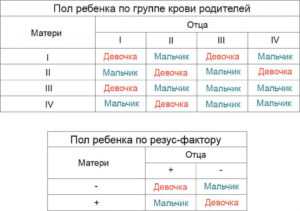 Как по группе крови определить пол будущего ребенка