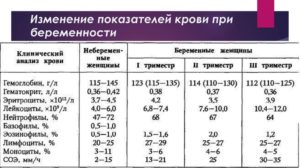 Биохимический анализ крови у беременных