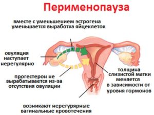 Год не было месячных при климаксе и начались