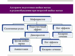 Таблетки для подготовки шейки матки к родам