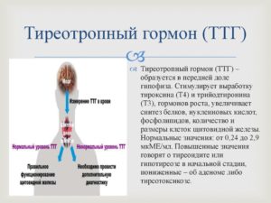 Как понизить ттг быстро