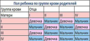 Во сколько недель можно узнать пол ребенка точно