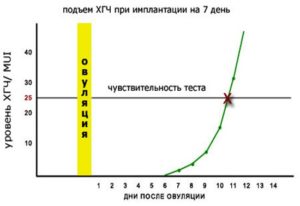 На какой день можно делать хгч после зачатия