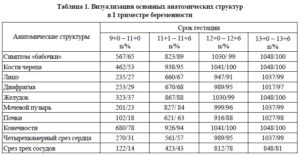 Размеры мочевого пузыря у плода по неделям нормы