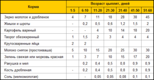 С какого возраста можно давать пшеницу бройлерам