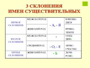 Склонение по родам существительных