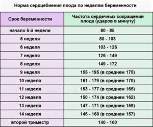 Можно ли почувствовать сердцебиение плода на ранних сроках