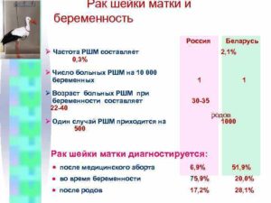 Длина шейки матки на 13 неделе беременности норма