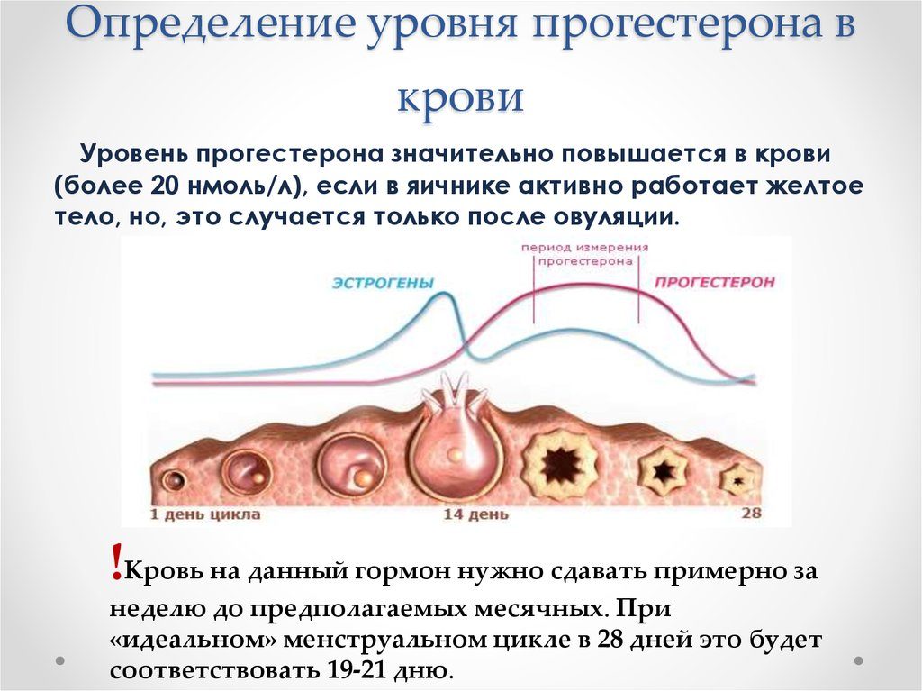 В день овуляции кровотечение