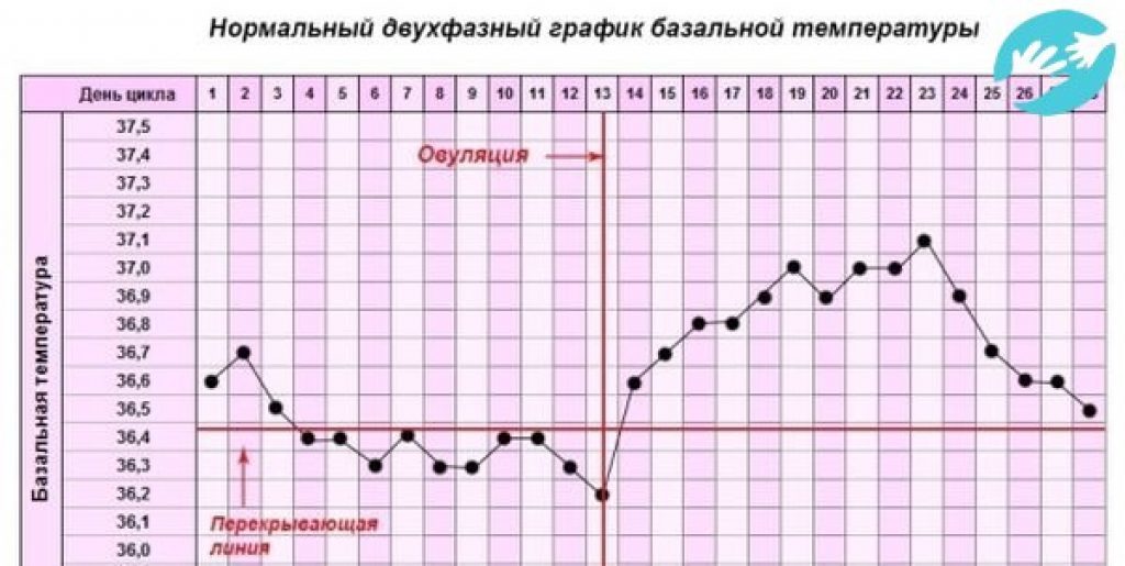 На какой день после зачатия повышается базальная температура