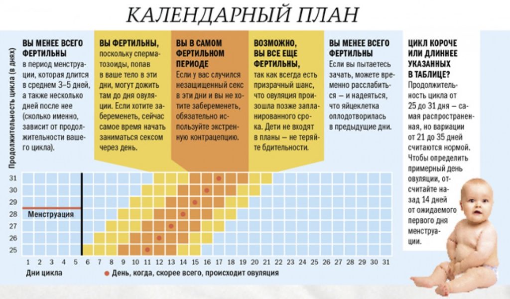 В день овуляции ппа