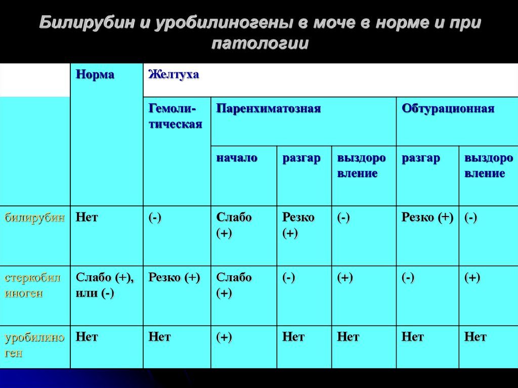 Билирубин нормы в моче