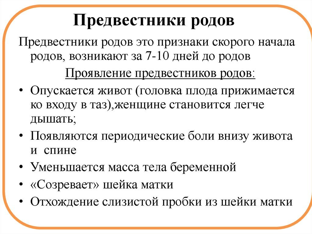 Предвестники родов у первородящих на 39 неделе форум