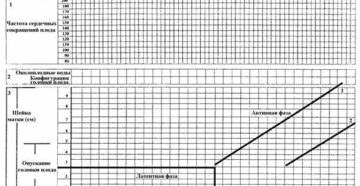 Партограмма в акушерстве образец